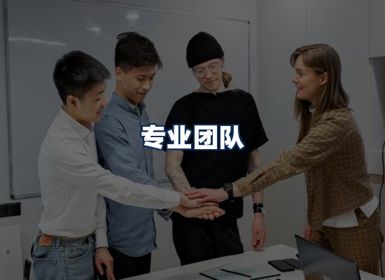 专业团队